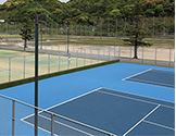 男女硬式テニス部