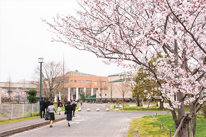 春-桜.jpg